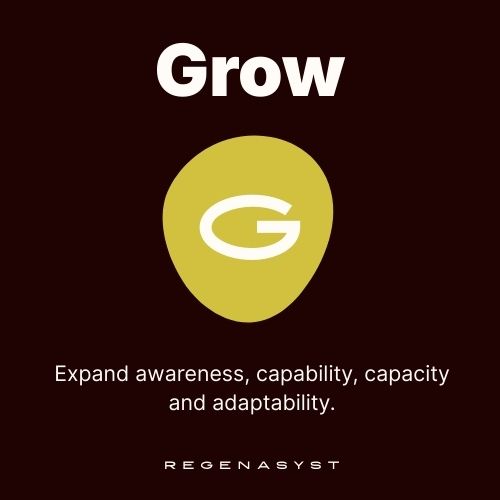 alt="Expand awareness, capability, capacity and adaptability."